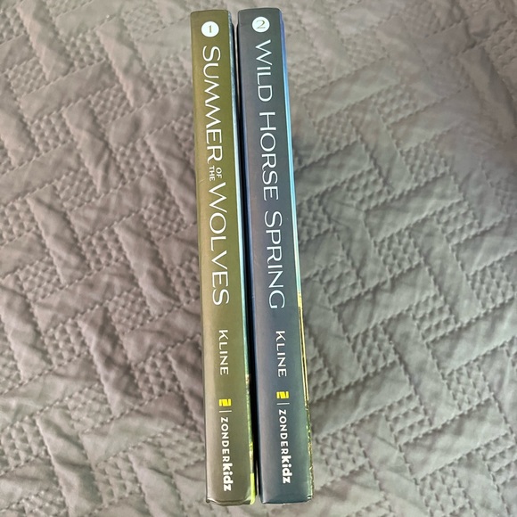 “Sisters in All Seasons” book series (2) - Picture 5 of 8